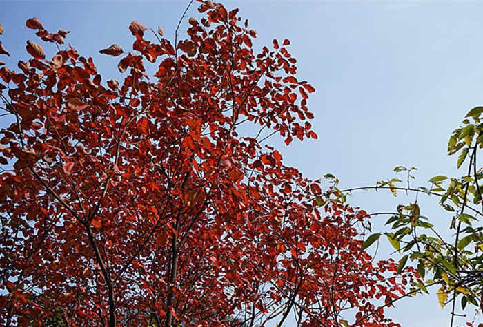 dsc04006_.jpg
