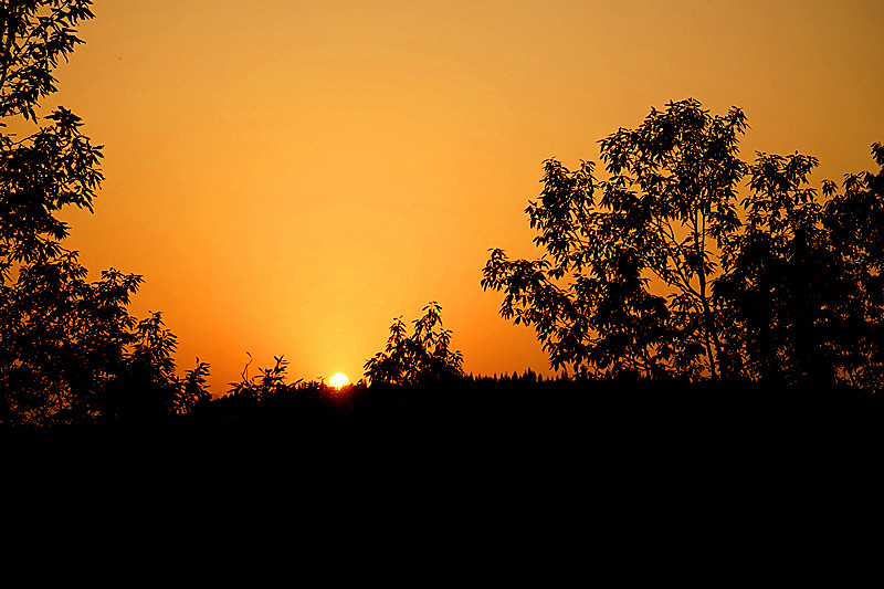 dsc03709_.jpg