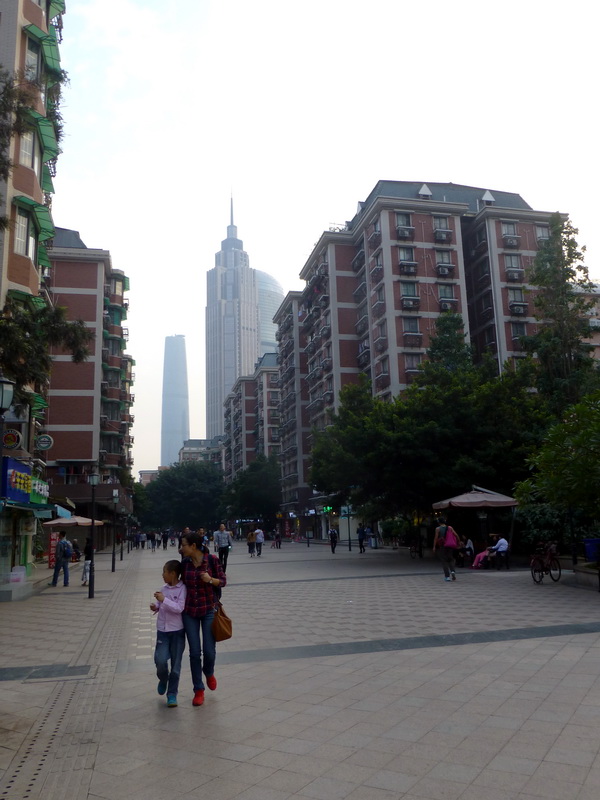 p1290156.jpg