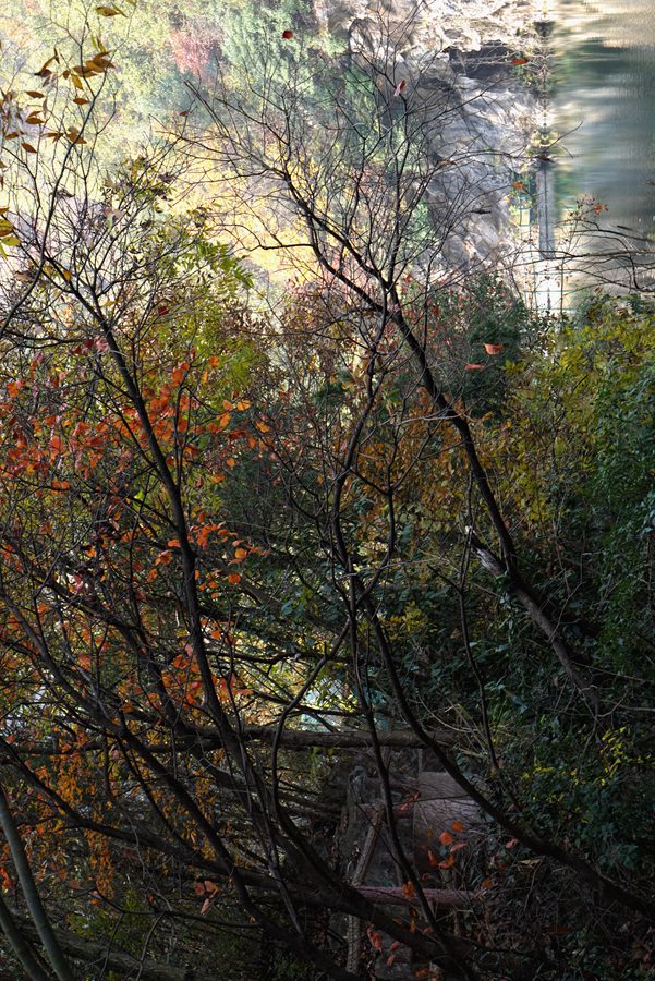 dsc09410_.jpg