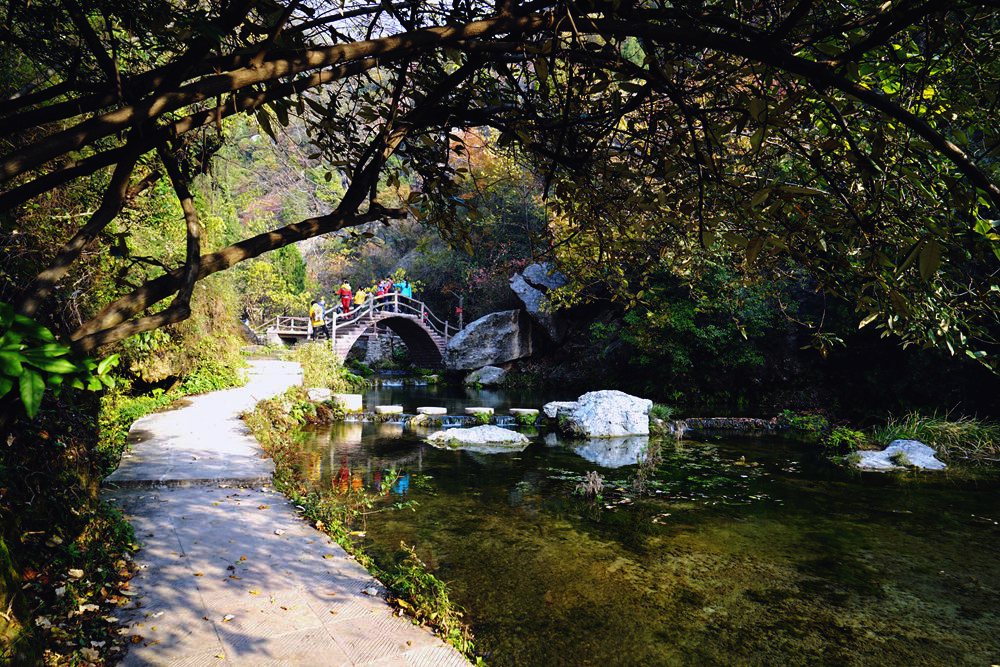 dsc09310_.jpg