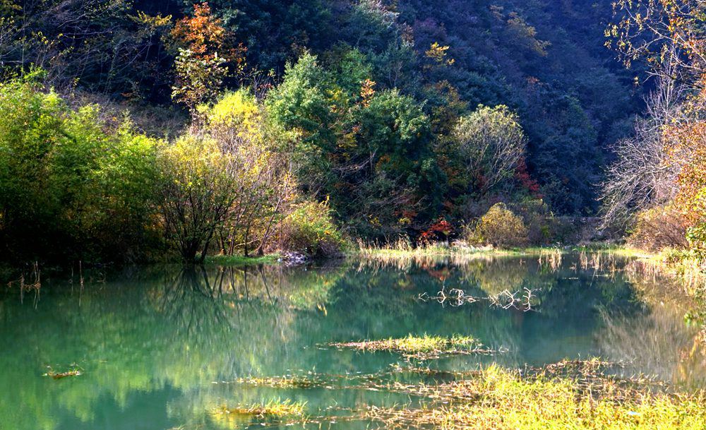 dsc09437_.jpg