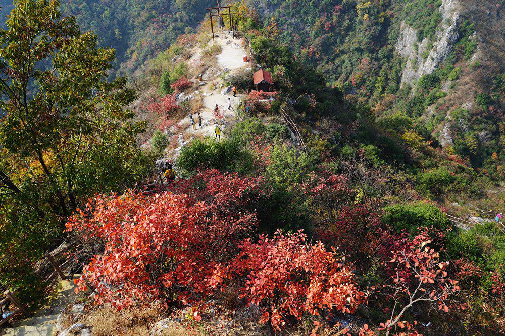 dsc09704_.jpg