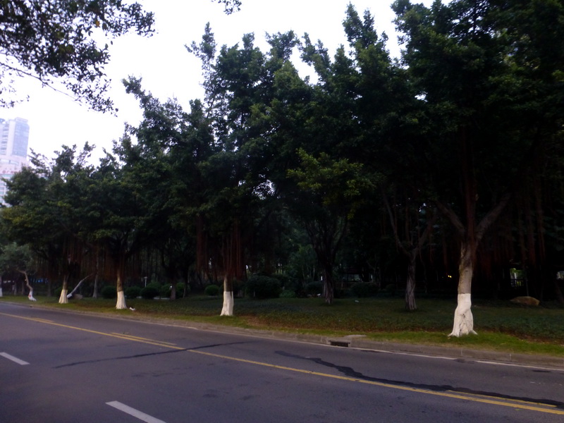p1290277.jpg