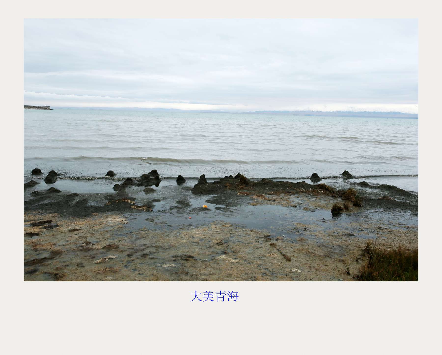 bw3p6542_.jpg