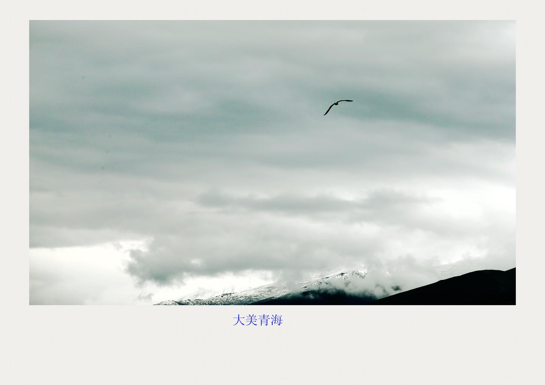bw3p6554_.jpg