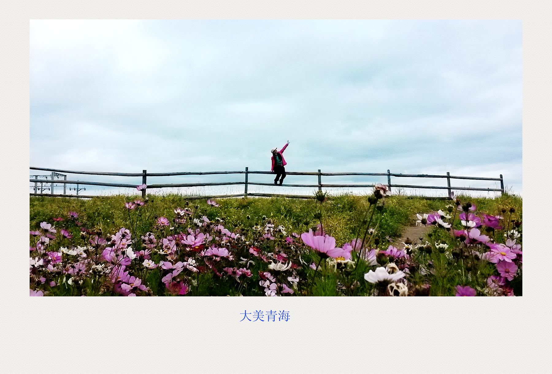 20140921_150534_.jpg