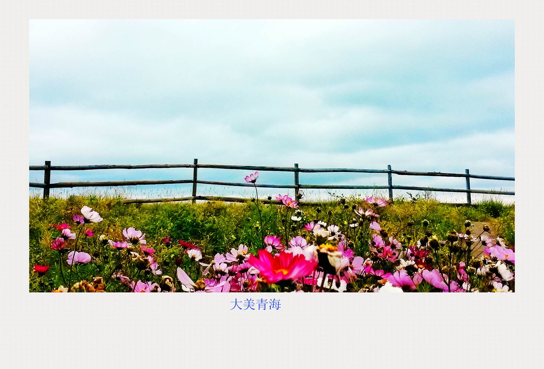 20140921_151106_副本.jpg