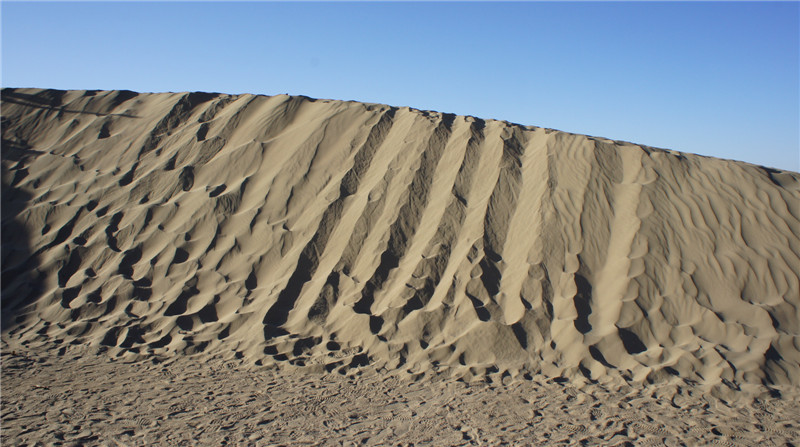 dsc03481_.jpg
