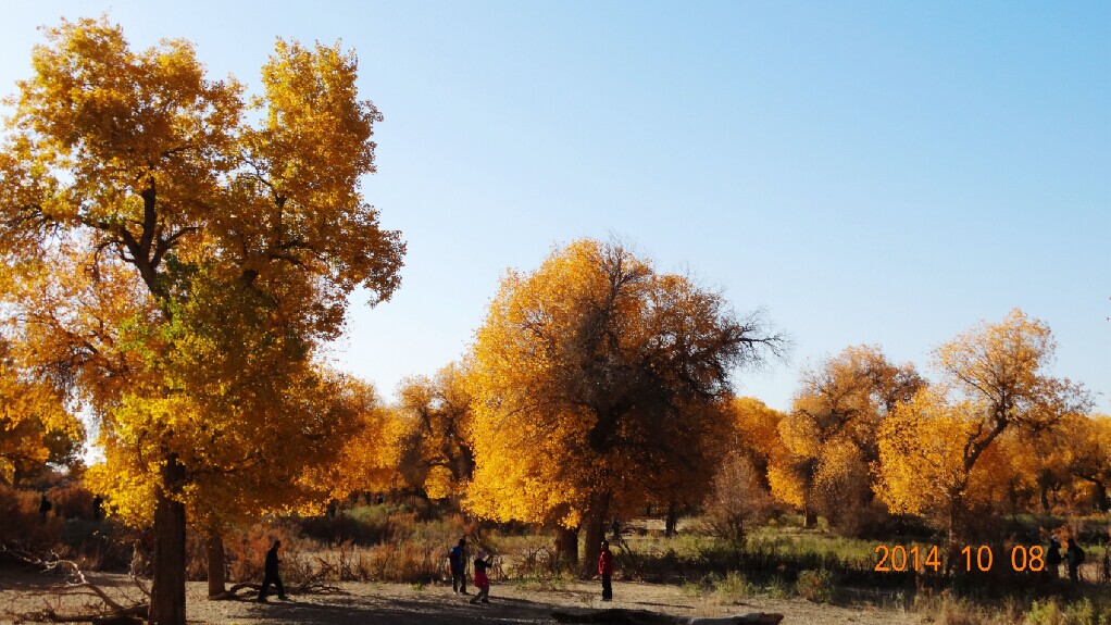qqͼƬ20141103081730.jpg