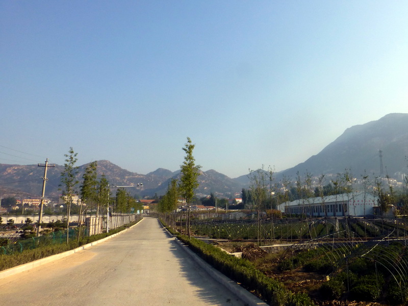 p1260774.jpg