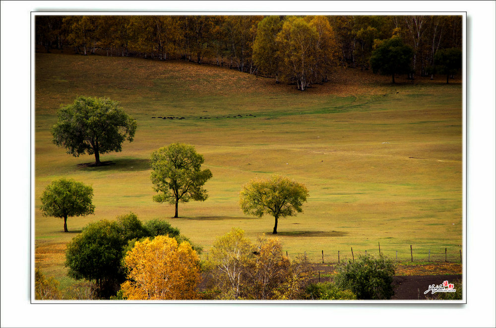 dsc_2210.jpg