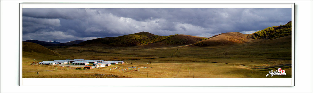 dsc_2426.jpg