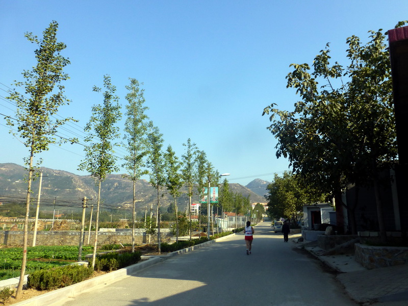 p1260776.jpg