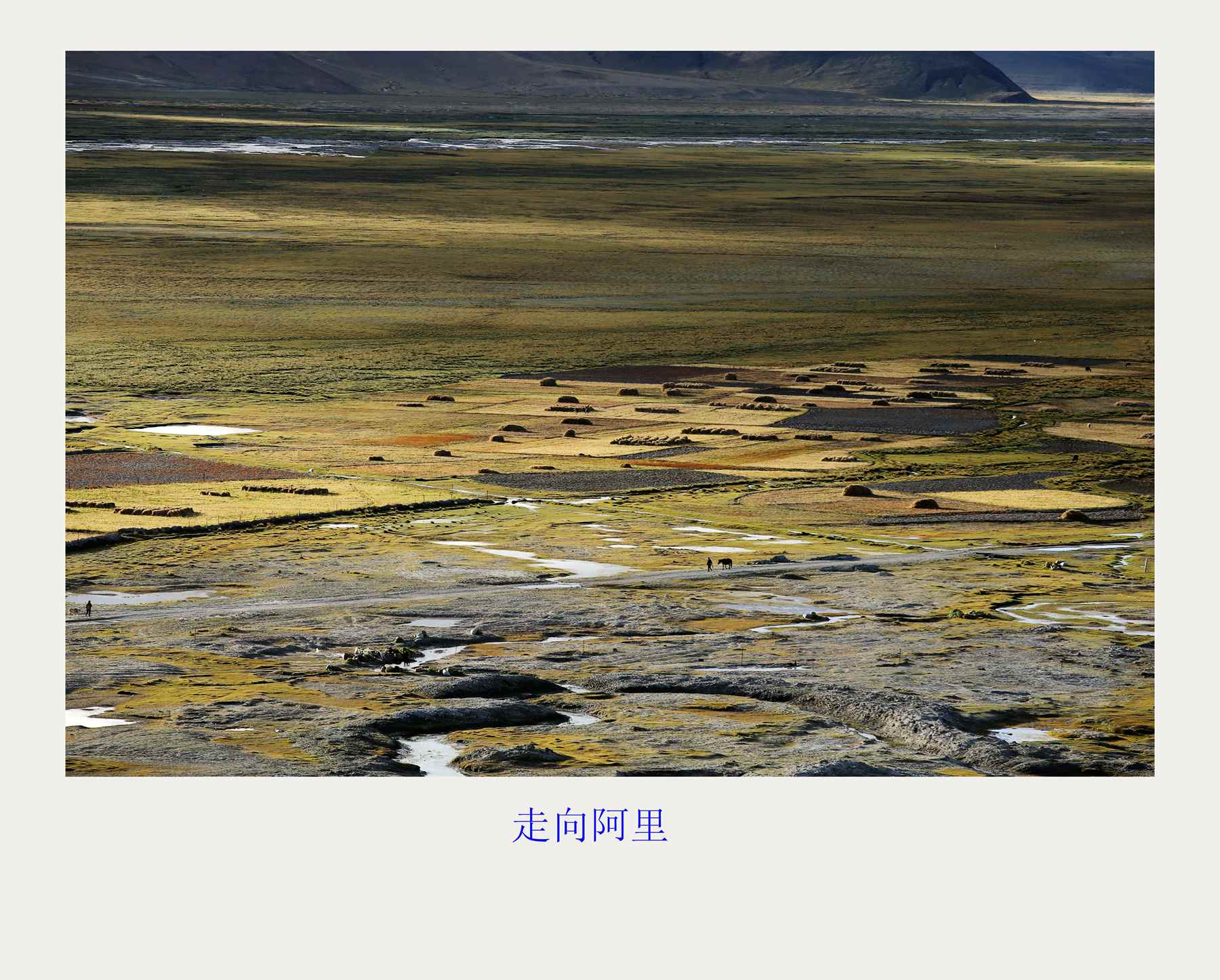 bw3p5783_.jpg