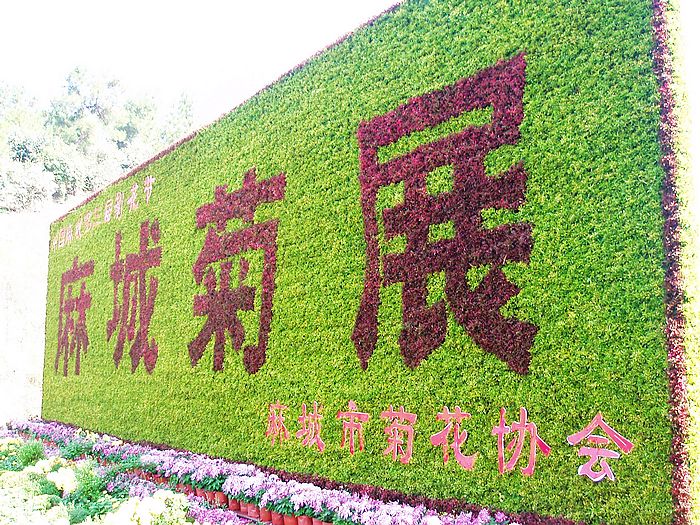 pa230271.jpg