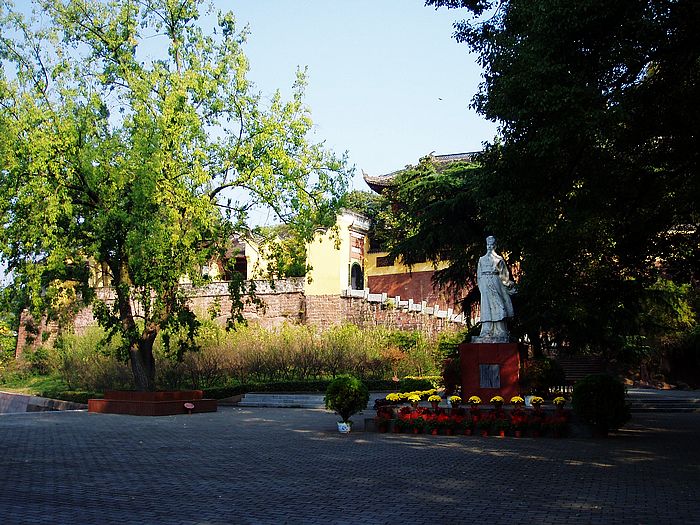 pa250333.jpg