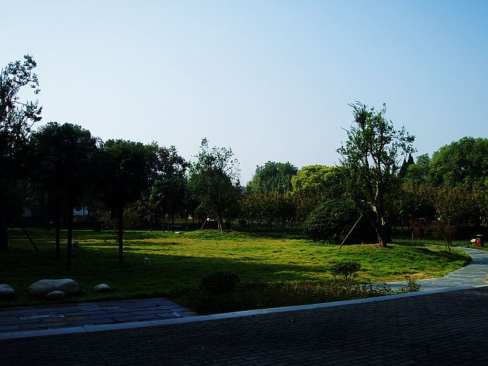 pa250342.jpg