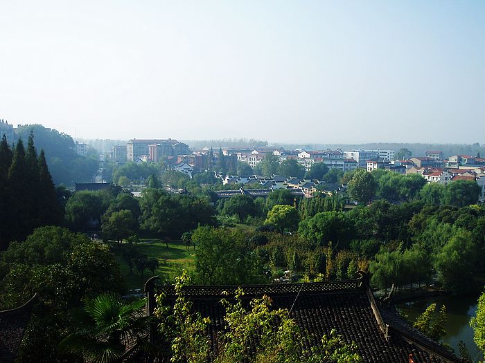 pa250339.jpg