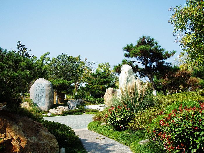 pa250359.jpg