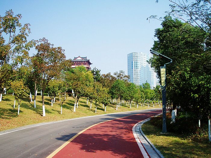 pa250358.jpg