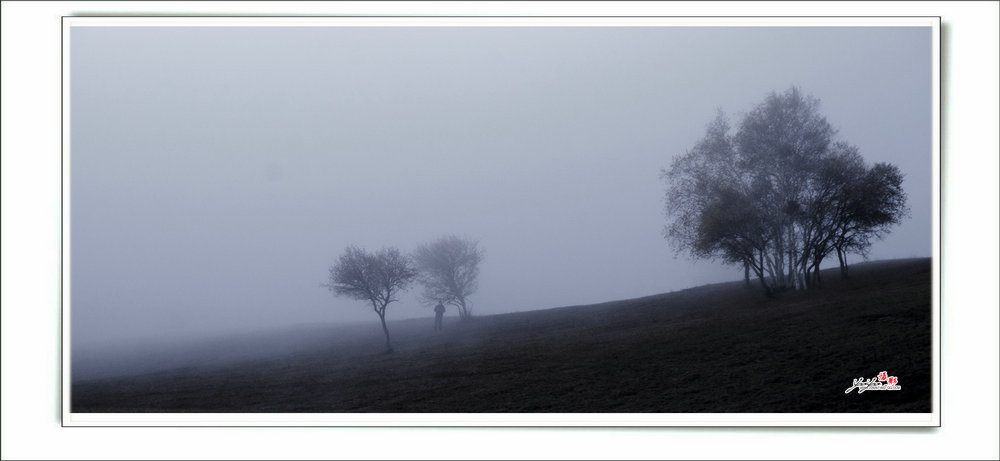 dsc_2536.jpg