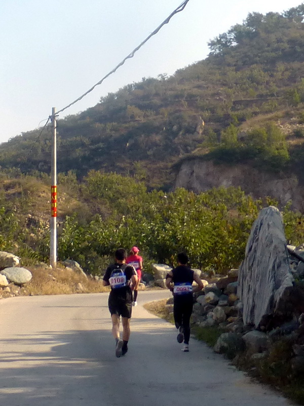 p1260798.jpg