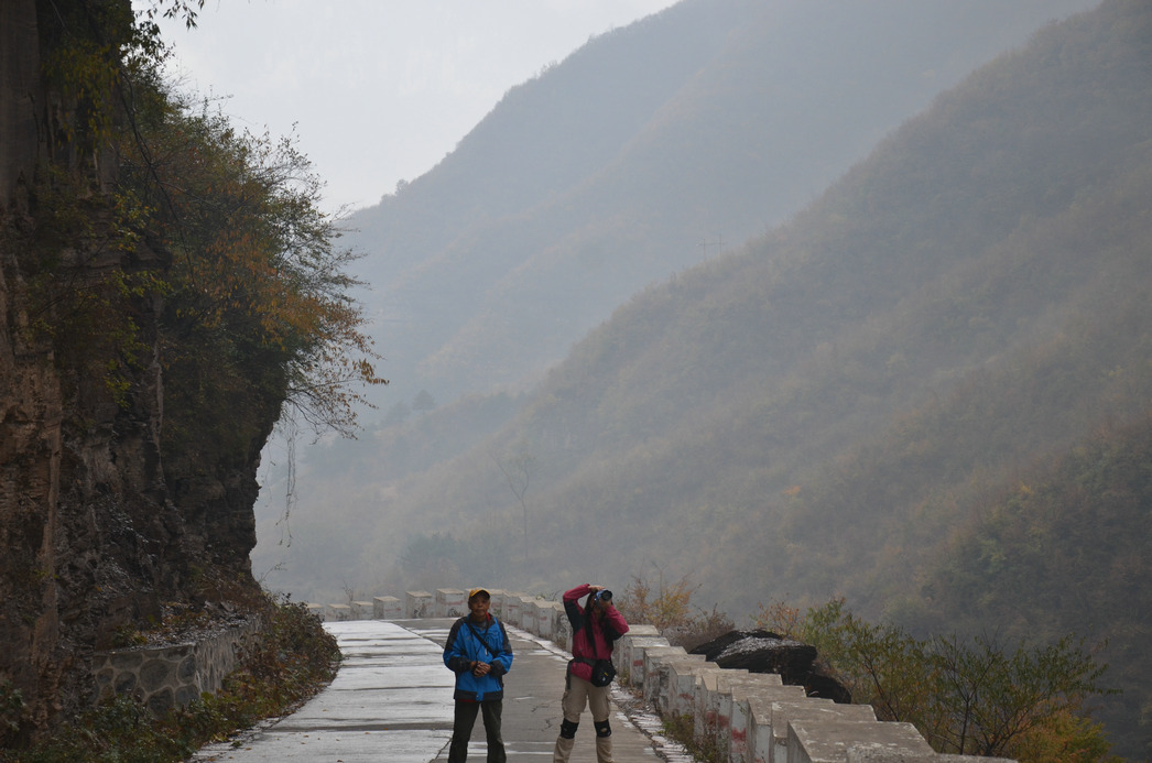 dsc08871-0.jpg