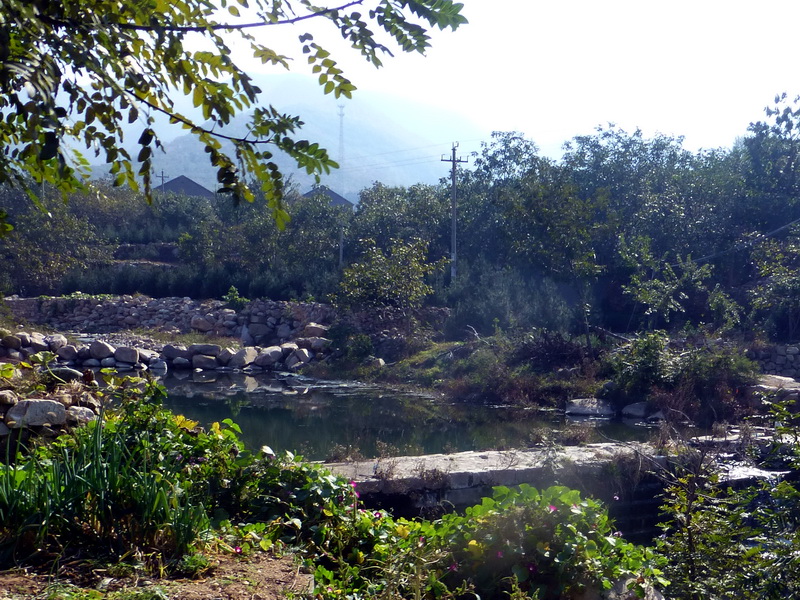 p1260821.jpg