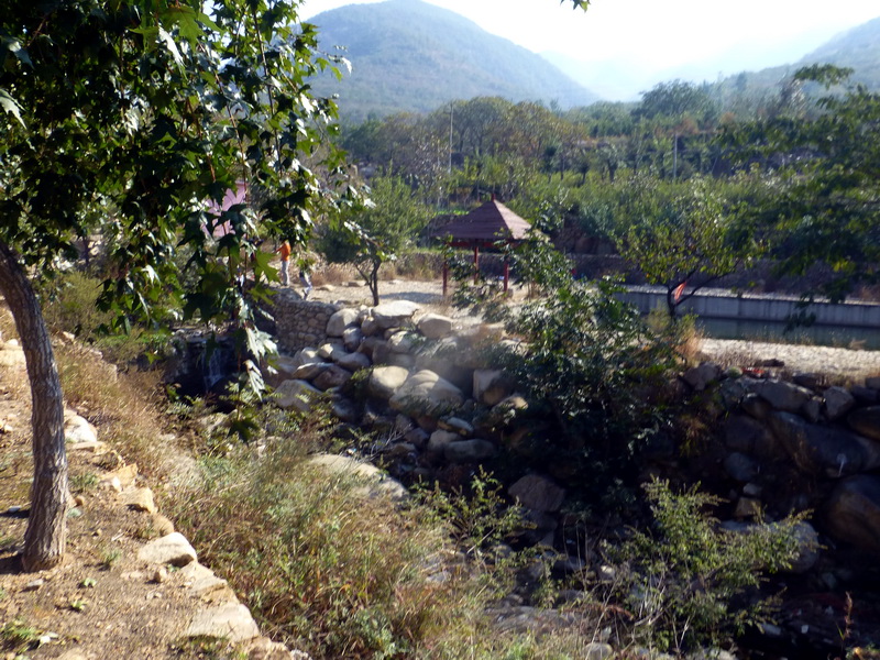 p1260825.jpg