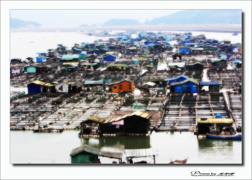 img_9535,.jpg