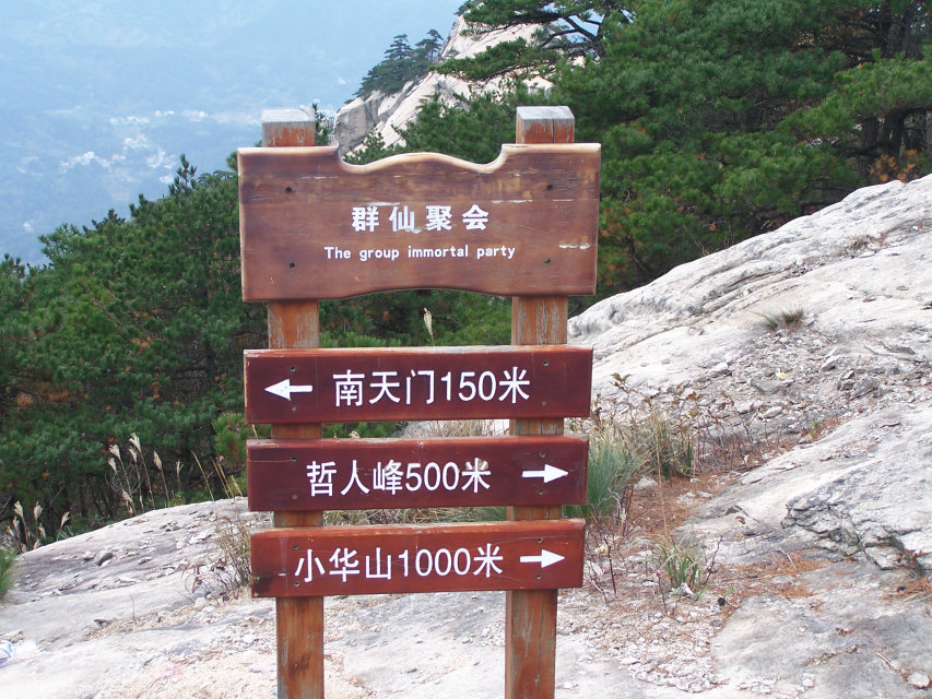800785645.jpg
