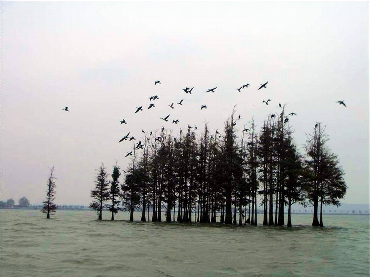 ǰĵ㾰001.jpg