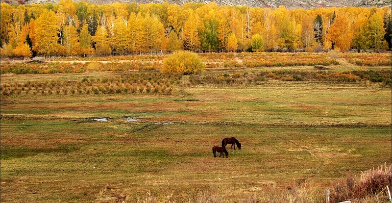 qqͼƬ20141017133741_.jpg