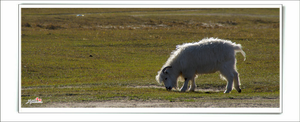 dsc_2878.jpg