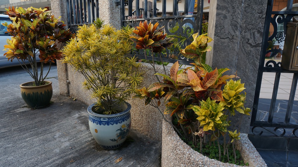dsc00577.jpg