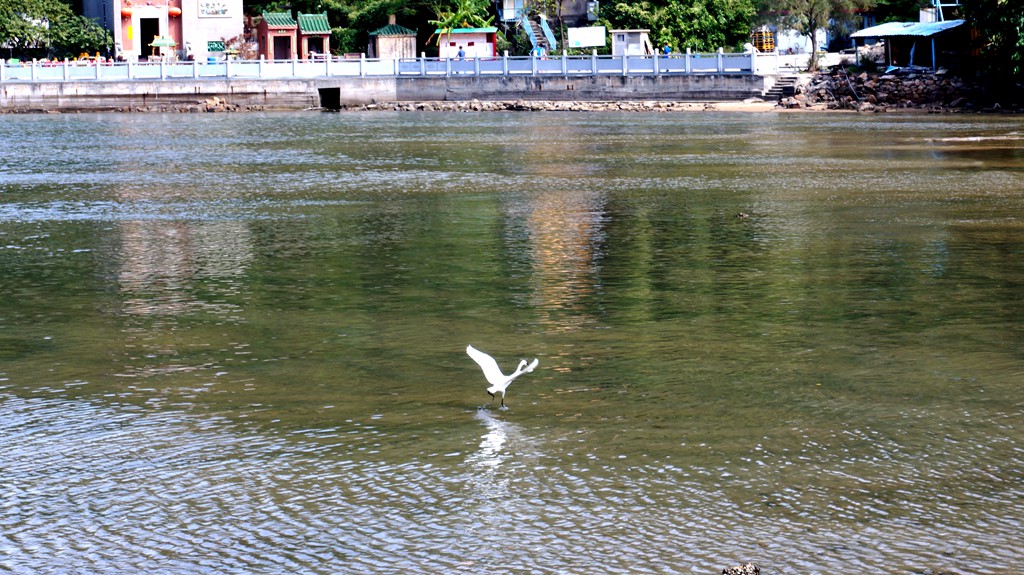 dsc00763.jpg