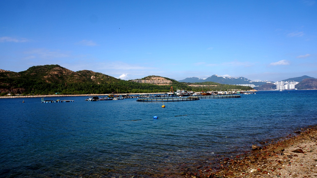 dsc00767.jpg