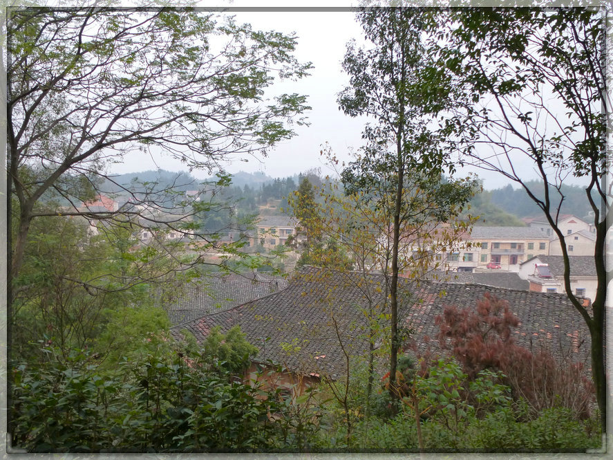 p1060795_1.jpg