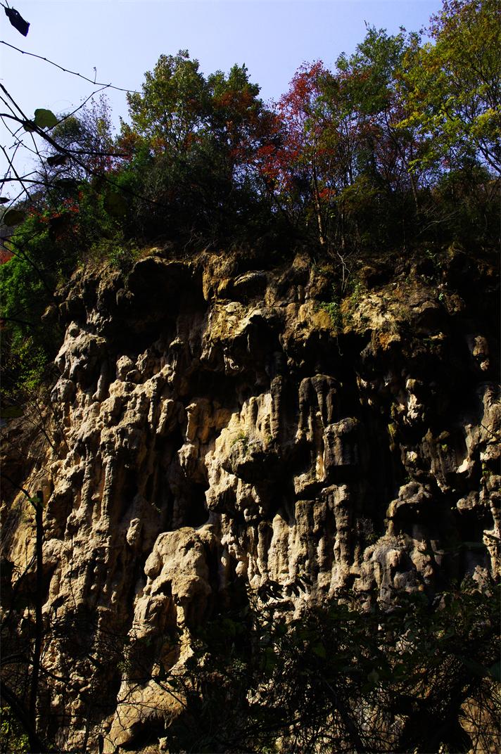 _igp8439_.jpg