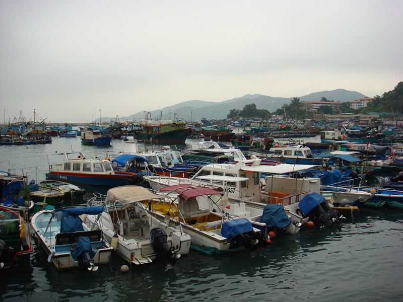 dsc09987_.jpg