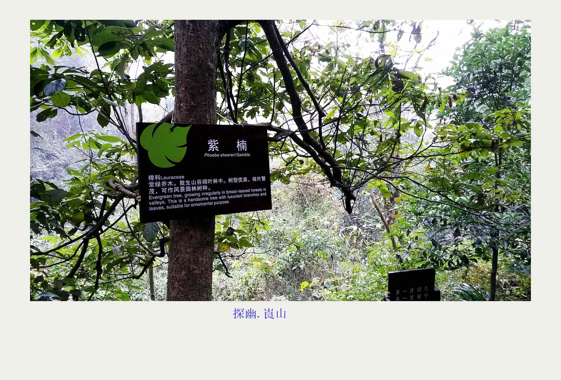 20141117_150845(1)_副本.jpg