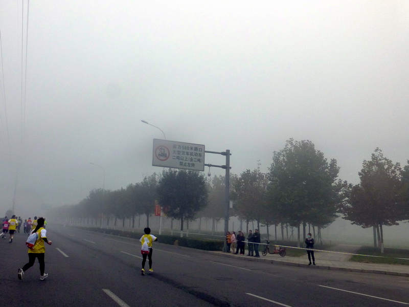 p1270538.jpg