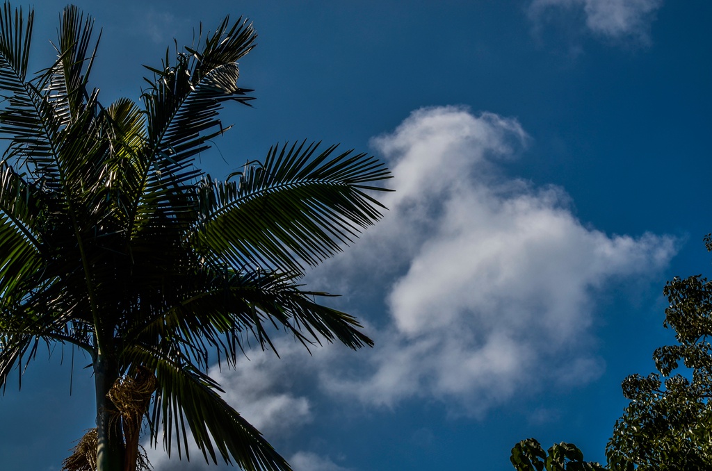 _dsc3456 - .jpg