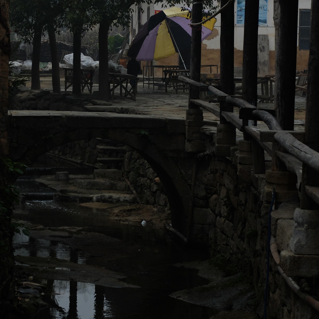 dscf4446.jpg