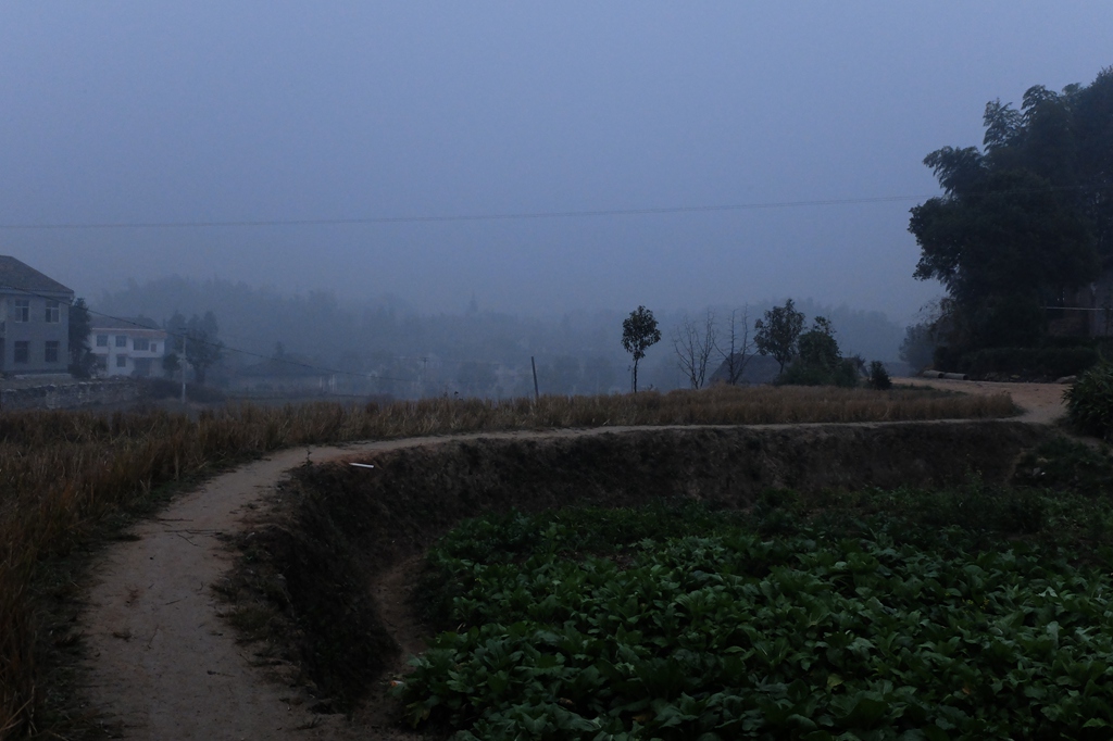 dscf4415.jpg