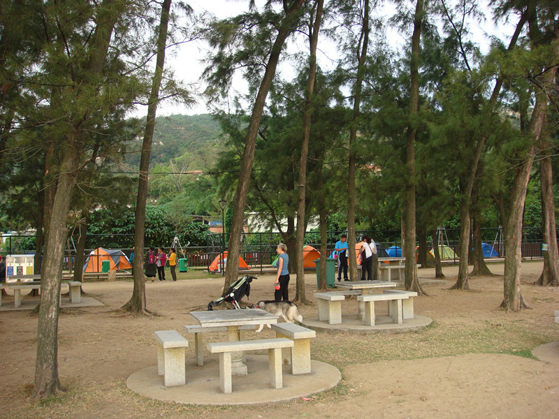 dsc00154_.jpg