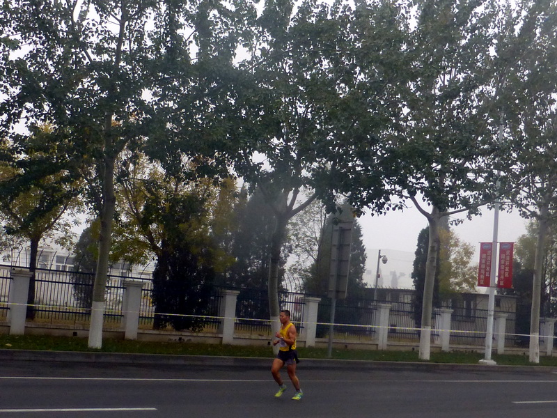 p1270569.jpg