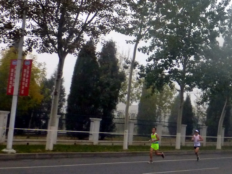 p1270572.jpg