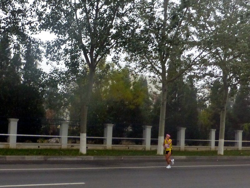 p1270574.jpg